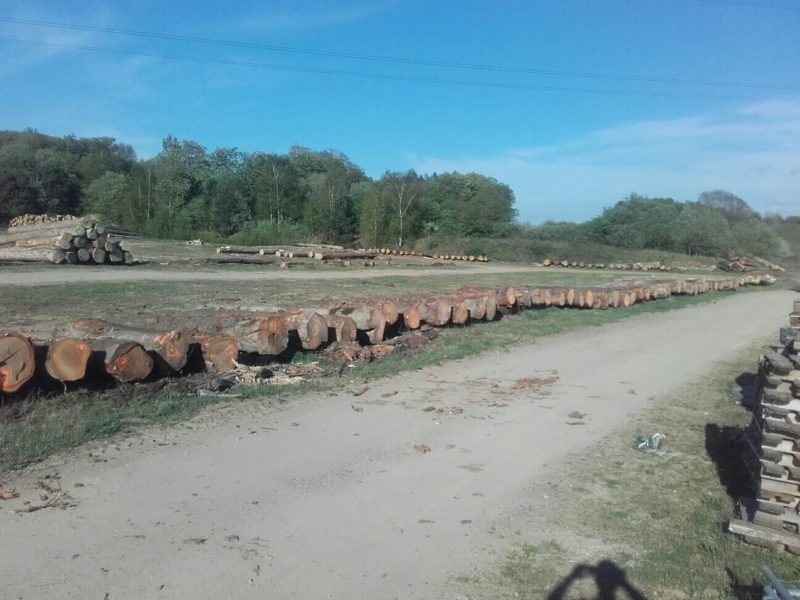 Espace de stockage pour grumes de bois Arlon Habay